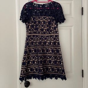 Eliza J Navy Lace Overlay Dress - 10
